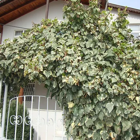 Guest house Ae2 Eceabat